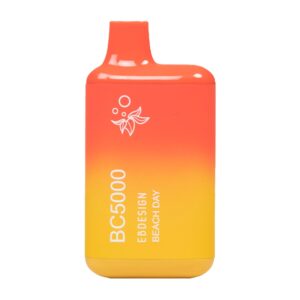 ELF BAR BC5000 Disposable Beach Day 5000 bocanadas 650mAh
