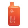 ELF BAR BC5000 Disposable 5000 bocanadas Mint Tobacco 13ml